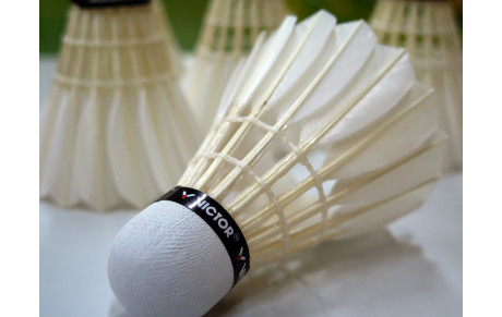 D3 mixte Interclubs